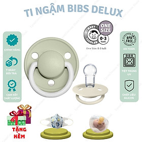 [TẶNG QUÀ] Ti Ngậm, Ti Giả BIBS Chính Hãng Đan Mạch Cao Cấp, Chất Liệu Silicon An Toàn Cho Bé Từ 0-3 Tuổi, Tặng Kèm Hộp Đựng Ti