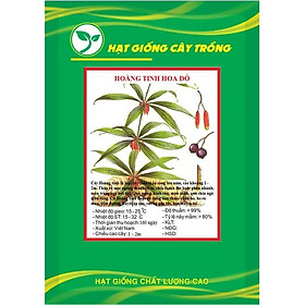 Hạt Giống Cây Hoàng tinh hoa đỏ ( Cây dược liệu ) KNS3732 - Gói 10 hạt
