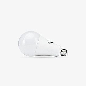 Mua LED Bulb(LED A95N1/20W)E27 3000K/6500K(LED SS)