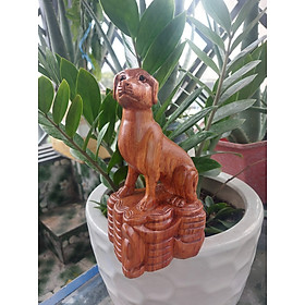 Tượng chó gỗ hương nguyên khối cao 20cm