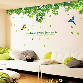 Decal dán tường trang trí nhà đẹp sang trọng cây xanh mát