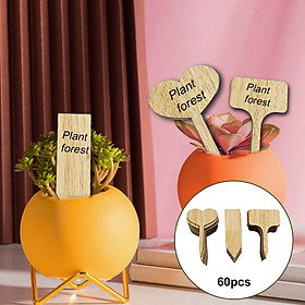 Plant Labels Tags Set Vegetables Flowers Garden Stake