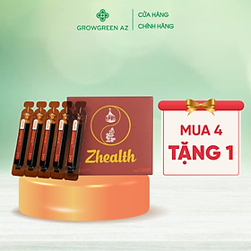 COMBO 2 HỘP Siro Ho Bổ Phế Thảo Dược ZHEALTH Giảm Ho, Viêm Họng, Tăng Cường Hệ Miễn Dịch(Hộp 2 vỉ x 5 ống)