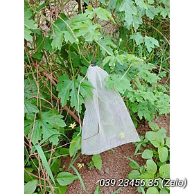 Mua 100 CÁI TÚI BAO  BỌC TRÁI NHO  MƯỚP  KHỔ QUA CHẤT LIỆU LƯỚI TỐT KÍCH THƯỚC 20*35