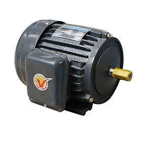 Motor vỏ gang JET chân đế Hồng Ký - JET 1.5KW 220V 1450v/p - Hàng chính hãng
