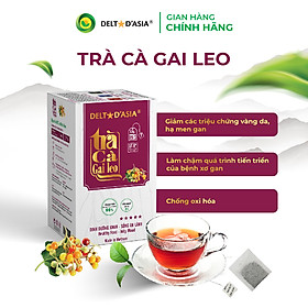 Trà Cà Gai Leo Túi Lọc Dạng Hộp - Delta D'Asia - TP003 - Hỗ Trợ Giải Độc Gan