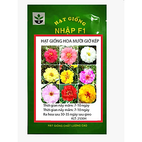 Mua GÓI 2500 HẠT GIỐNG HOA MƯỜI GIỜ KÉP NHIỀU MÀU