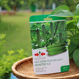 HẠT GIỐNG DƯA LEO LAI F1 HUNTER 1.0 CỦA EAST-WEST SEED (HAI MŨI TÊN ĐỎ)