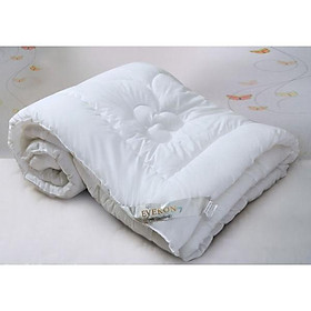 Mua Ruột Chăn Cao Cấp Standard 2m*2m2 EVERON
