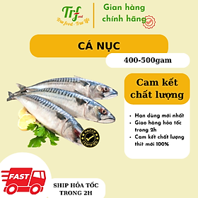 Cá nục Nhật 400-500g/con [Chỉ giao hỏa tốc HN]