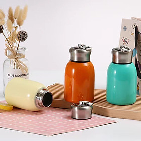 Bình Giữ Nhiệt ZWILLING Cao Cấp Bằng Thép 300ML Màu ngẫu nhiên DRU-Hàng Chính Hãng