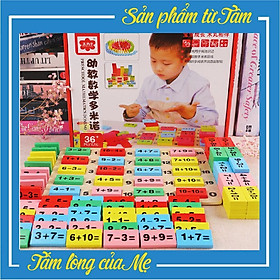 Đồ chơi Bộ học Toán kiêm chơi Domino 110 chi tiết gỗ thông