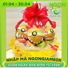 Giỏ quà trái cây Tình thân