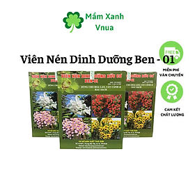 Viên Nén Dinh Dưỡng Hữu Cơ Ben 01 Hùng Nguyễn hộp 1kg dùng bón gốc cho hoa lan, cây cảnh và rau sạch