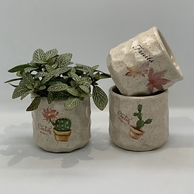 Bộ 3 Chậu Sứ - 7x7x7 Cm - Mầu Be Nhạt – Dáng Trụ - Chậu Gốm Bát Tràng Trồng Cây Mini Để Bàn, Sen Đá, Xương Rồng, Cây Cẩm Nhung (Fittonia, May Mắn) & Tiểu Cảnh Terrarium