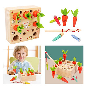Educational Toy Carrots Shape Size Sorting Puzzle Toys Worm Catch