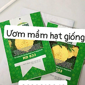 Mua Hạt giống RD Vạn thọ pháp lùn F1 vàng chanh RD 833 gói 10 hạt