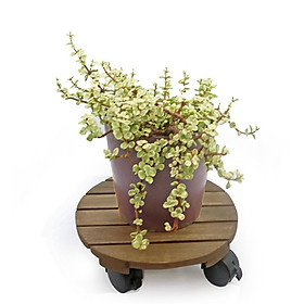 Đế lót chậu cây có bánh xe Greenhome-Đường kính 30 cm chịu lực 80kg