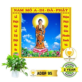 Mua Tranh Phật A Di Đà có khung_ADDK14