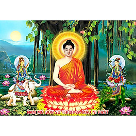 Mua Tranh thêu chữ thập bổn sư thích ca mô ni phật LV3519 67 x 48 cm - chưa thêu