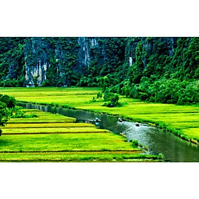 Giấy dán tường - T66