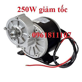 Mua Motor giảm tốc 12V 250w có chổi than