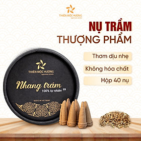 Nụ trầm hương cao cấp THIÊN MỘC HƯƠNG, nhang sạch, trầm hương tự nhiên, xông nhà, xông văn phòng hộp 40 nụ