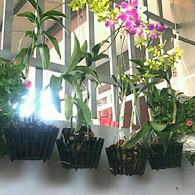 5 CHẬU NHỰA GIẢ GỖ TRỒNG LAN 20X10CM