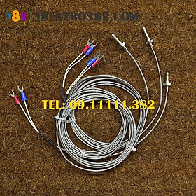 Mua Dây cảm biết nhiệt độ WRNT- 01 can K. Đầu Dò Cảm Biến nhiệt độ