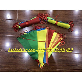 Cờ Dây Tam Giác Nhiều Màu Sắc- Hình Thật