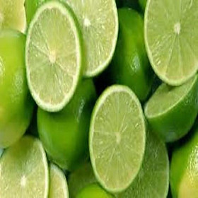 COMBO 10 Cây giống chanh tứ quý RA QUẢ 4 MÙA
