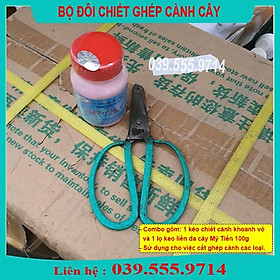 BỘ ĐÔI CHIẾT GHÉP CÀNH CÂY (KÉO KHOANH VỎ+KEO MỸ TIẾN 100G)  GIÚP LIỀN SẸO