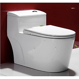 Mua Bệt vệ sinh R99 . bệt vệ sinh xả xoáy