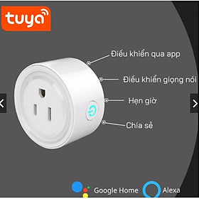 Ổ Cắm Điện Điều Khiển Qua Điện Thoại Thông Minh, App Tuya Hoặc Smart Life, 100V 220V-10A
