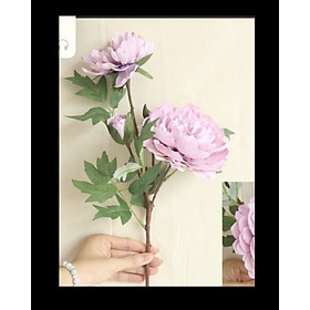 Mua Hoa giả - Cành hoa mẫu đơn lụa 3 bông xinh xắn decor chụp ảnh