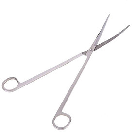 Kéo inox cong tỉa cây thủy sinh