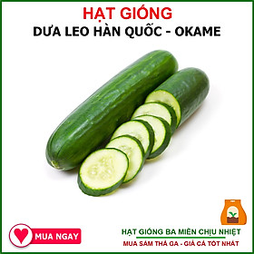 Hạt Giống Dưa Leo Hàn Quốc - OKAME Gói 1gram Nguyên Bao Bì Nhà Sản Xuất - Shop Hạt Giống Ba Miền Chịu Nhiệt