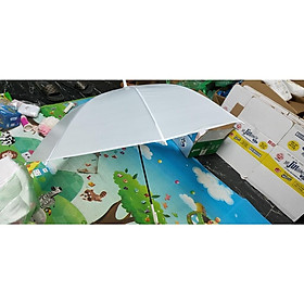 Mua Ô Trong Suốt Đi Mưa chụp ảnh check in
