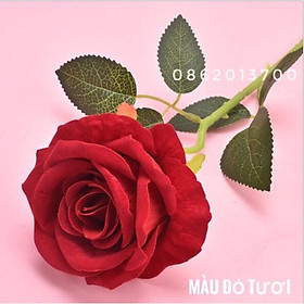 Mua Combo 10 cành hoa giả - Hoa Hồng Nhung Lucas 65cm trang trí đẹp  giống thật