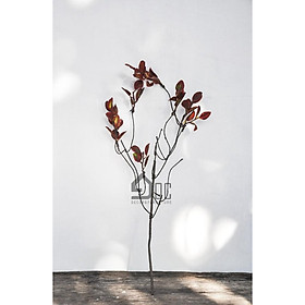 Mua Cành Lá Trang Trí đẹp nhiều màu sắc trang trí  decor phòng khách  nhà hàng  quán coffee