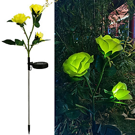 Mua Đèn hoa hồng năng lượng mặt trời ED04 SolaZ trang trí sân vườn  tự động phát sáng  0 đồng tiền điện