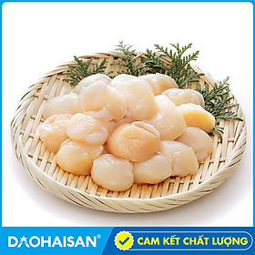 Cồi Sò Điệp Size L Khay 500g