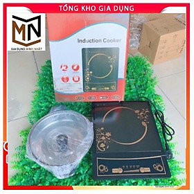 Mua Bếp từ cao cấp induction Cooker ( kèm nồi )