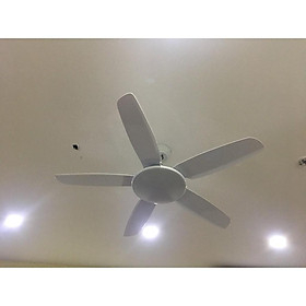 Mua QUẠT TRẦN ĐÈN TRANG TRÍ ( 5 cánh 6 số điều khiển từ xa)