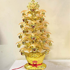 Cây Thỏi Vàng Trang Trí Nhà Cửa