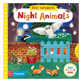 Night Animals