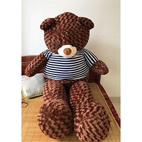 Gấu teddy, màu nâu socola size 1m4 - 1m6 -1m8 siêu to, chất liệu mềm mịn