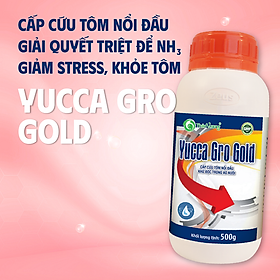 YUCCA GRO GOLD - Cấp cứu tôm nổi đầu, khử độc trong ao nuôi