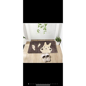 Mua THẢM CHÙI CHÂN HÌNH THÚ DỄ THƯƠNG 40x60cm và 50x80cm