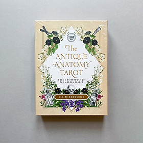 Bộ Bài Tarot The Antique Anatomy 78 Lá Bài Tặng File Tiếng Anh Và Đá Thanh